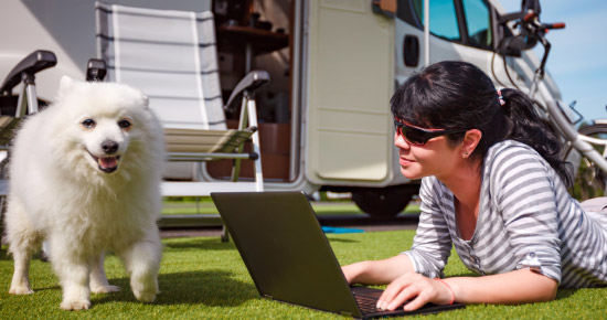 renew-your-camervan-insurance-jqwem1